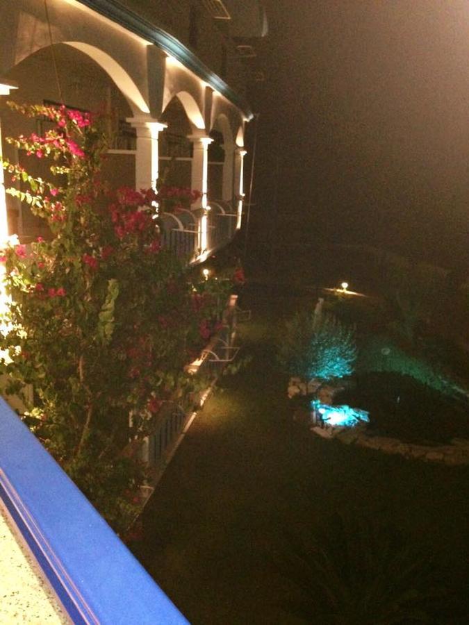 Gogas Palace Apart otel Ammoudia Dış mekan fotoğraf